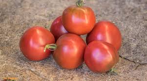 Afbeeldingsresultaat voor butter and bull heart tomato