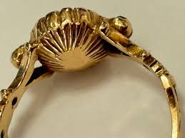 「ヴィクトリア＝パワード」の画像検索結果