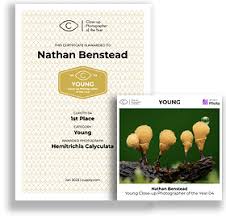 Attēlu rezultāti vaicājumam “Hemitrichia calyculata young”