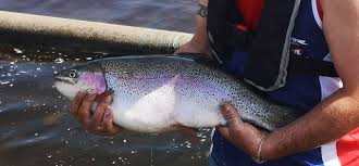 Image result for Airdrie & District Angling Club