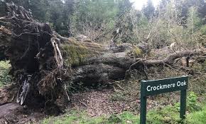 Image result for Savernake Badminton Club