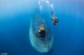 Image result for TAL Divers