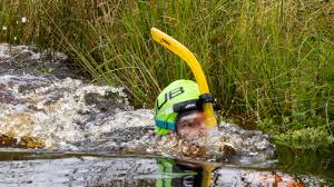 Image result for Wyndley NSC Snorkelling Club