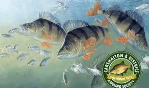 Image result for Warlingham & District Anglers` Society