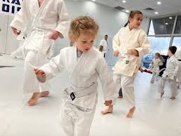 Image result for Mushin Kempo Jiu Jitsu Club