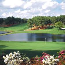 Image result for Moore Place Golf Club