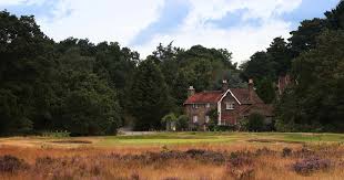 Image result for Reigate Heath Golf Club