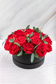 Image result for Red Rose Cc