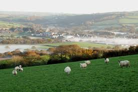 Image result for Whitland