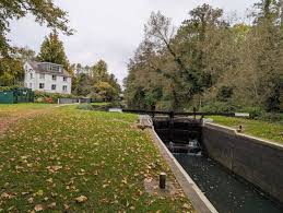 Image result for Yateley and Hawley Bridge Club