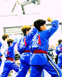 Image result for North Wilts Taekwondo