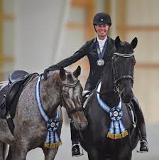 Image result for The Riding Centre