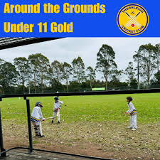 Image result for Westleigh Cricket Club