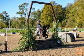 Image result for Chiddingfold Branch Of The Pony Club