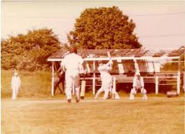 Image result for Trafford Metrovicks Cricket Club