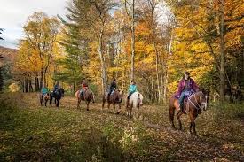 Image result for Greenways Riding Stable Lower Eashing