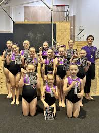 Image result for Suki Aerobics Gymnastics Club