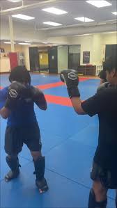 Image result for Suwanee Martial Arts Center
