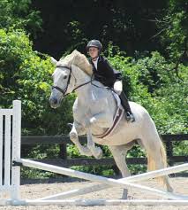 Image result for Winchester Riding Club