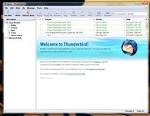 Thunderbird 17.0.