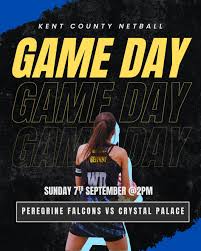 Image result for Crystal Palace Netball Club