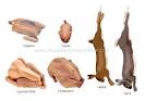 FOOD &amp; KITCHEN :: FOOD :: GAME image - Visual Dictionary Online