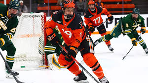 Image result for Pontypool Skater Hockey Club