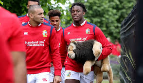 Image result for Harpenden Rugby Club