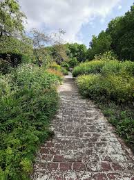 Image result for Mien Ruys