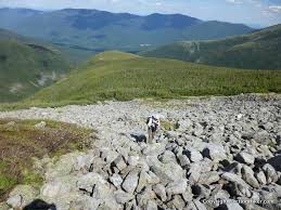 Image result for Sphinx Mountaineering Club