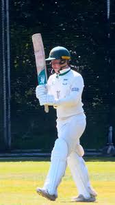 Image result for Three Bridges Cricket Club