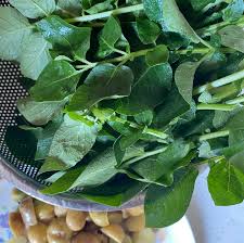 Attēlu rezultāti vaicājumam “Solanum tuberosum leaf”