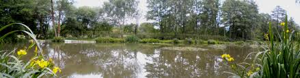 Image result for Guildford Angling Society