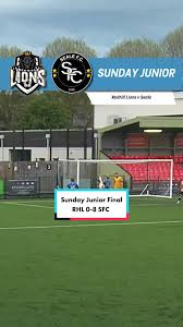 Image result for Redhill Juniors FC