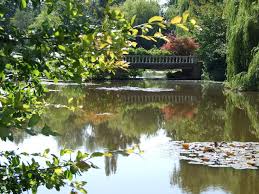 Image result for Windlesham United