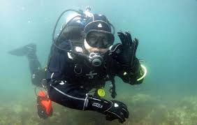 Image result for Calshot Sub-Aqua Club