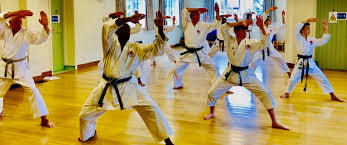 Image result for Windsor Karate Club