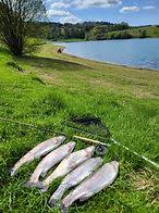 Image result for Bideford and District Angling Club