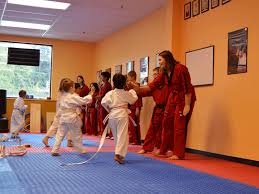 Image result for Skillz Martial Arts