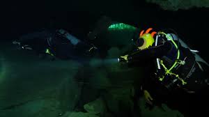 Image result for Aylesbury Ducks Sub Aqua Club