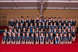 Image result for Gymnastics & Dance 4 Cheshire
