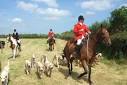 Should we have a free vote on repealing the Hunting Act 2004 ...