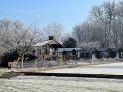 Image result for Island Bohemian Bowls Club