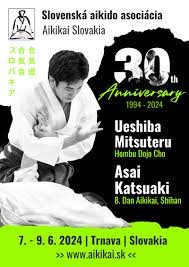 Image result for Fudokai Aikido Dojo