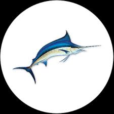 Image result for Makaira mazara