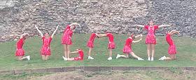 Image result for Castle Cary Cygnets Majorettes