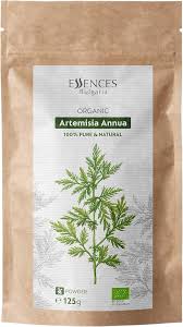 Image result for Artemisia annua