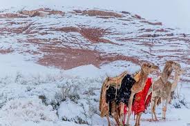 Image result for snow africa