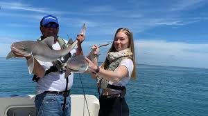 Image result for Chichester Sharks