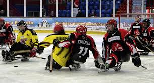 Image result for Peterborough Phantoms
